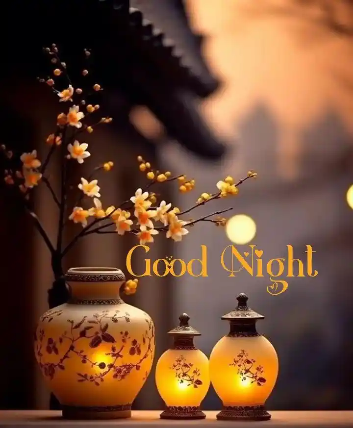amazing good night images