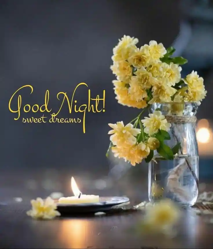 animated beautiful good night images