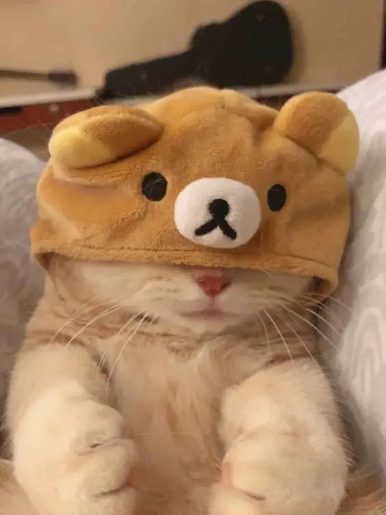 anime-wallpaper-characters