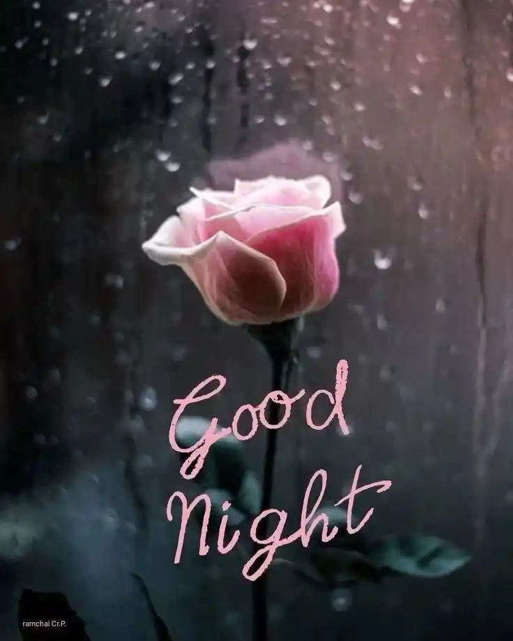 awesome good night images