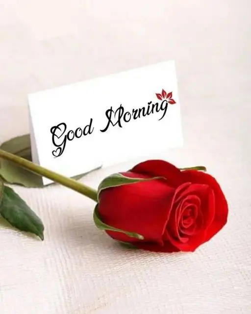 beautiful-flowers-good-morning-images