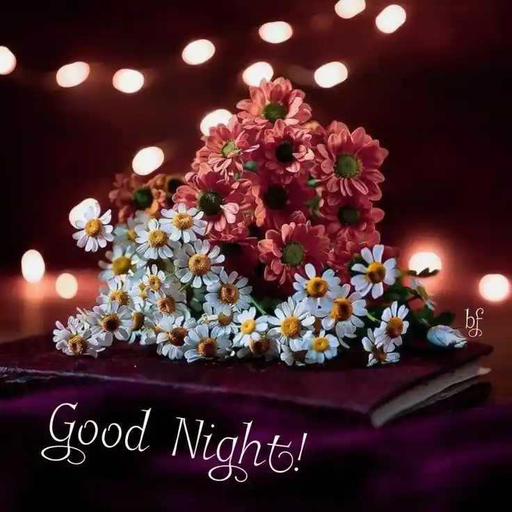 beautiful good evening images and quotes