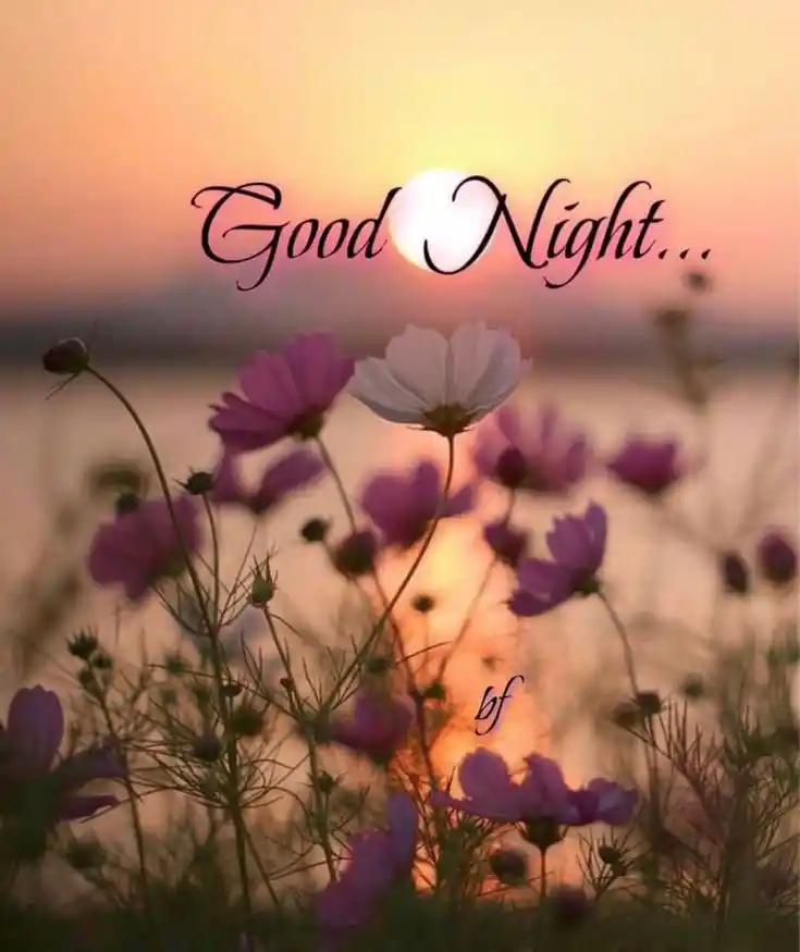 beautiful good morning images and quotes free