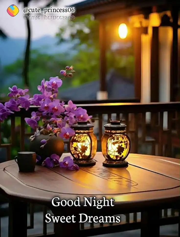 beautiful good night images and quotes in english