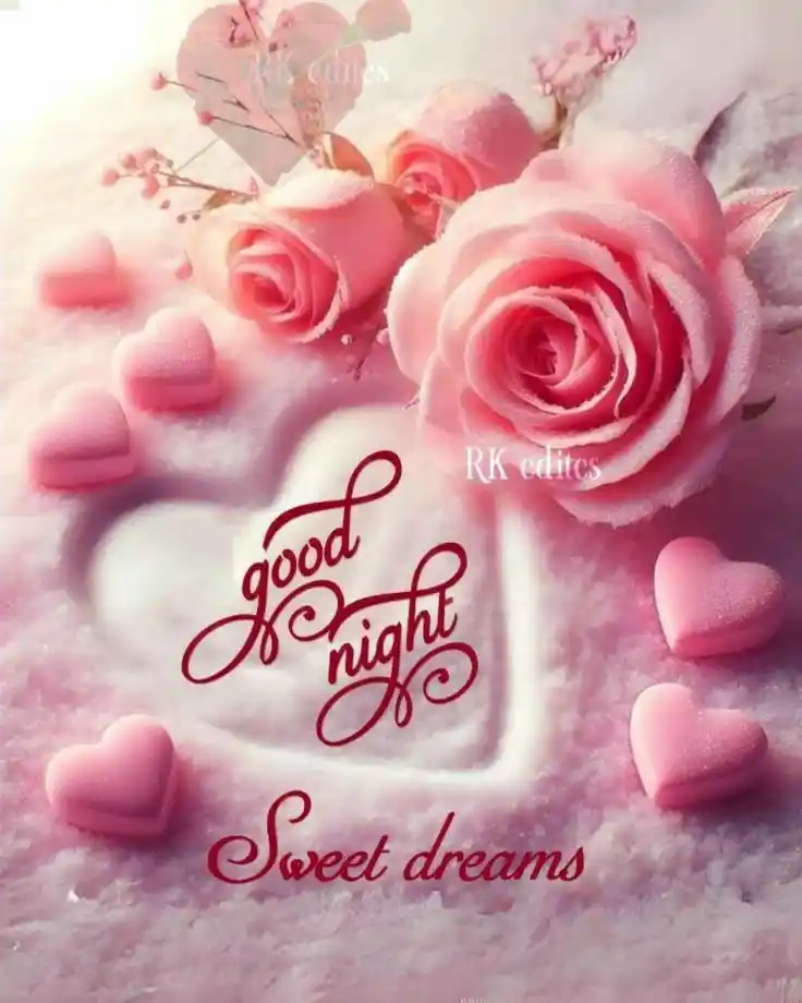 beautiful good night images in bengali