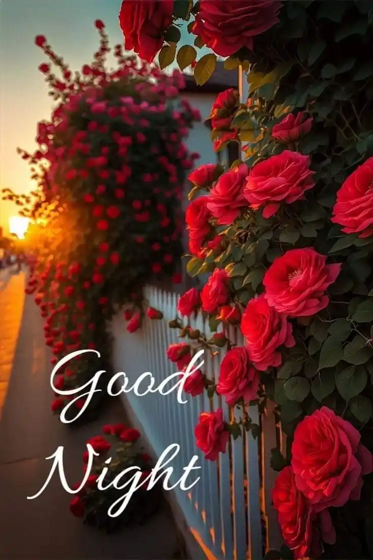 beautiful good night images in kannada