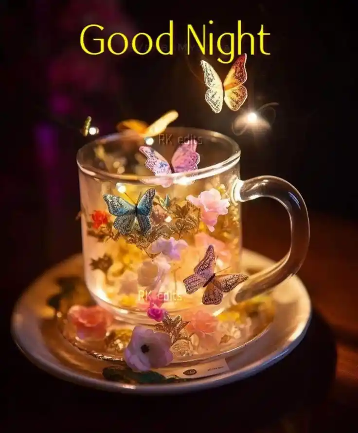 beautiful good night images with quotes
