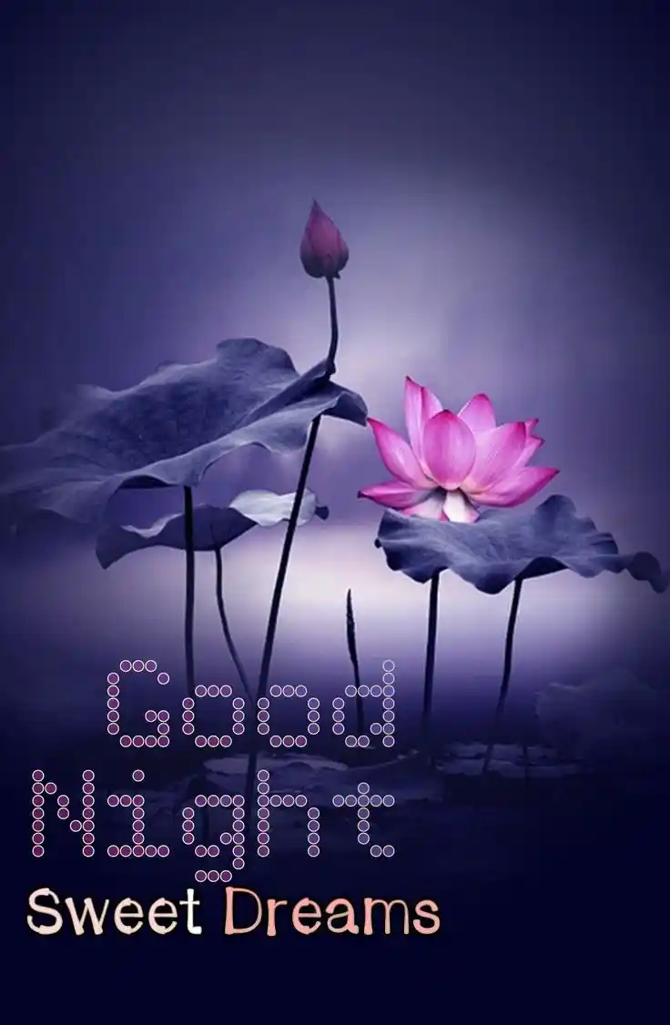 beautiful good night photo download