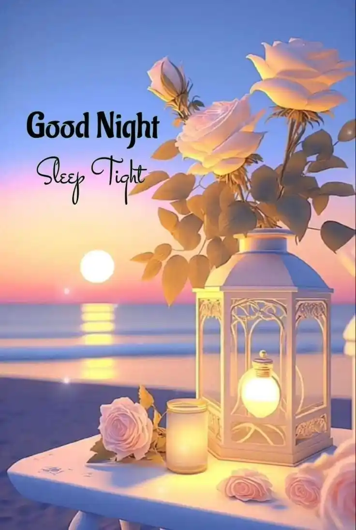 beautiful good night photo download
