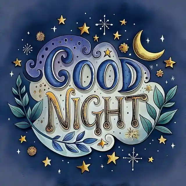 beautiful good night photo love