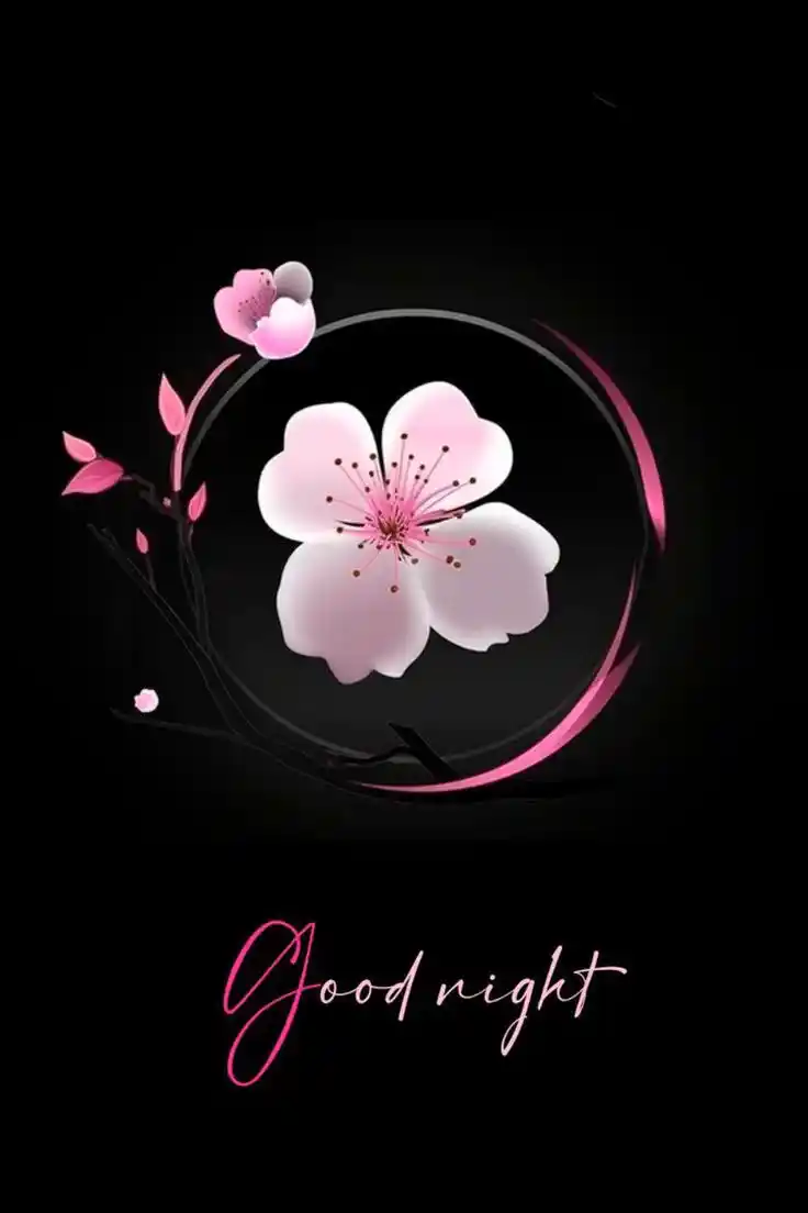 beautiful nature beautiful good night images