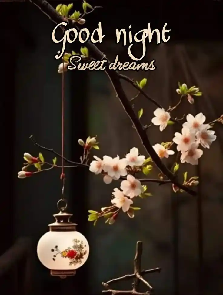 beautiful sweet beautiful good night images