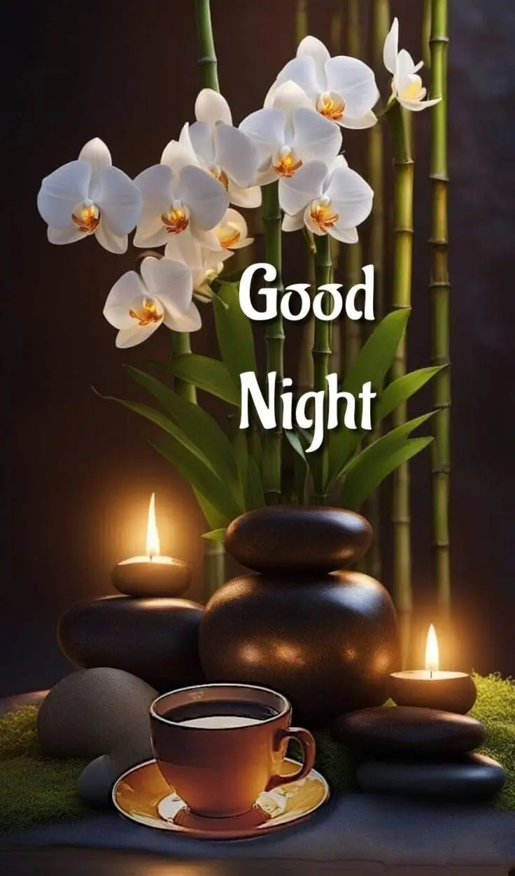 best-beautiful-good-night-images