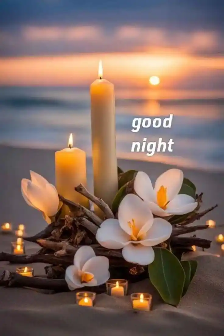 cat good night images