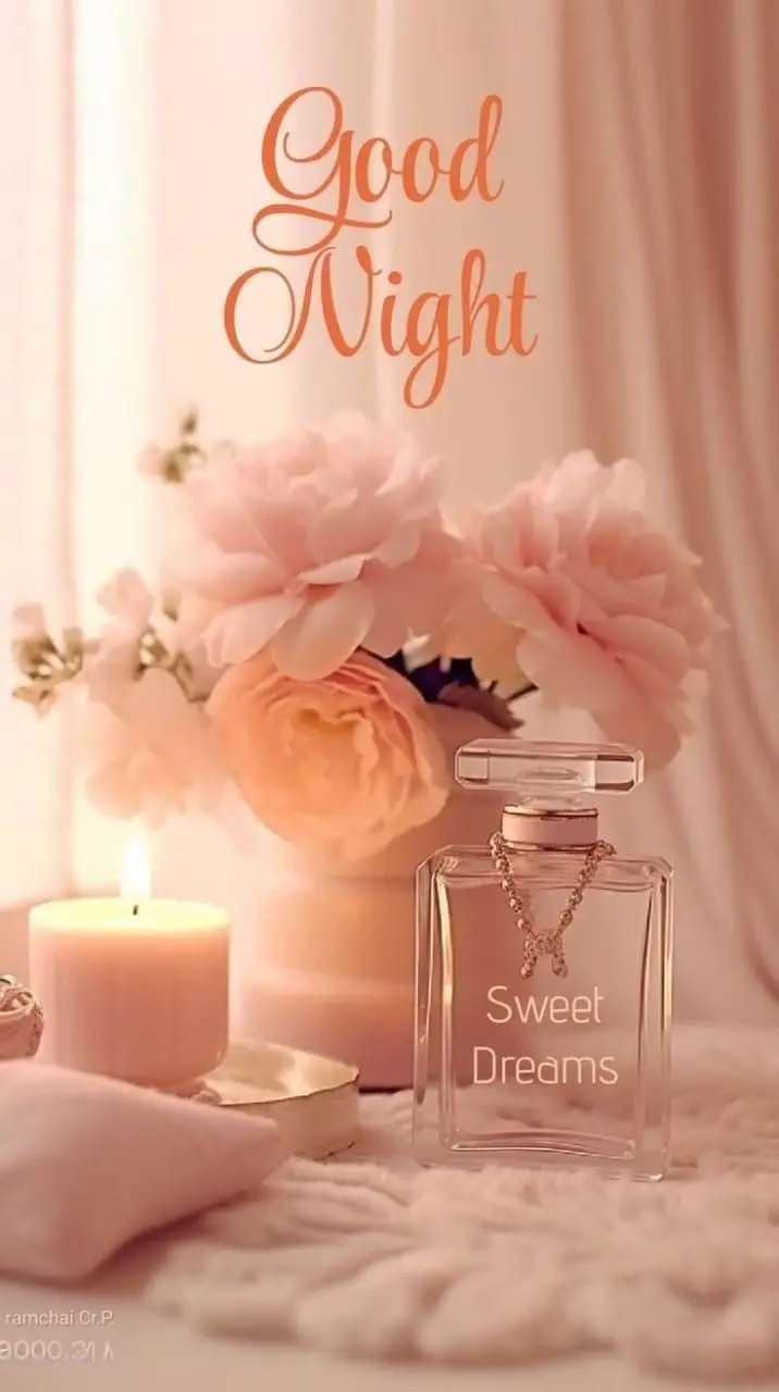 cute-cartoon-good-night-images