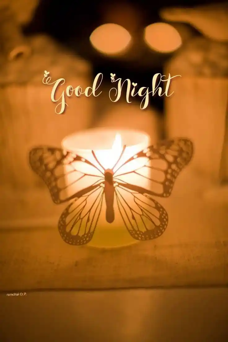cute good night images and quotes