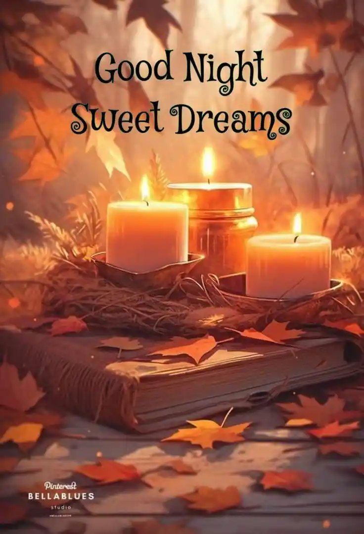 cute good night images