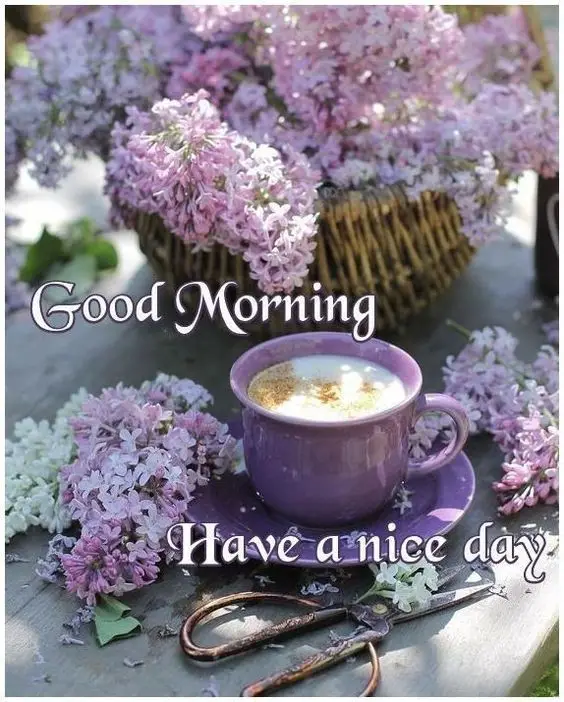 good-morning-images-and-quotes