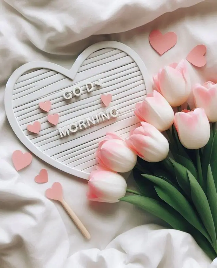 good-morning-images-beautiful