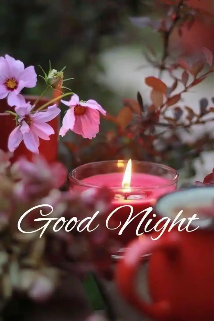 good night images and blessings