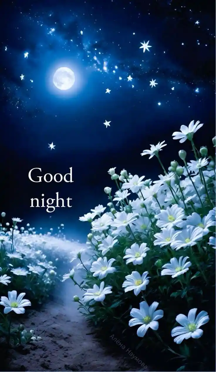 good night images and quotes