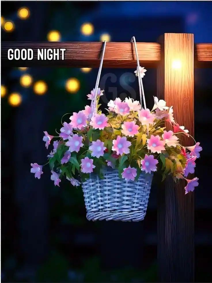 good night images and quotes for him