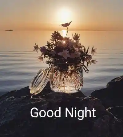 good night images cute cartoon