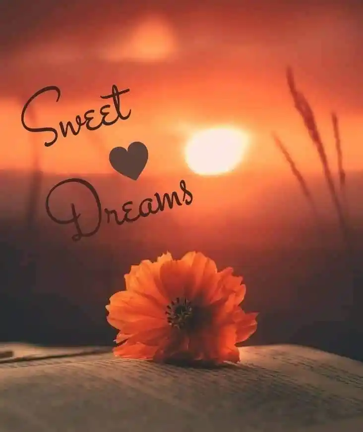 good night images with quotes