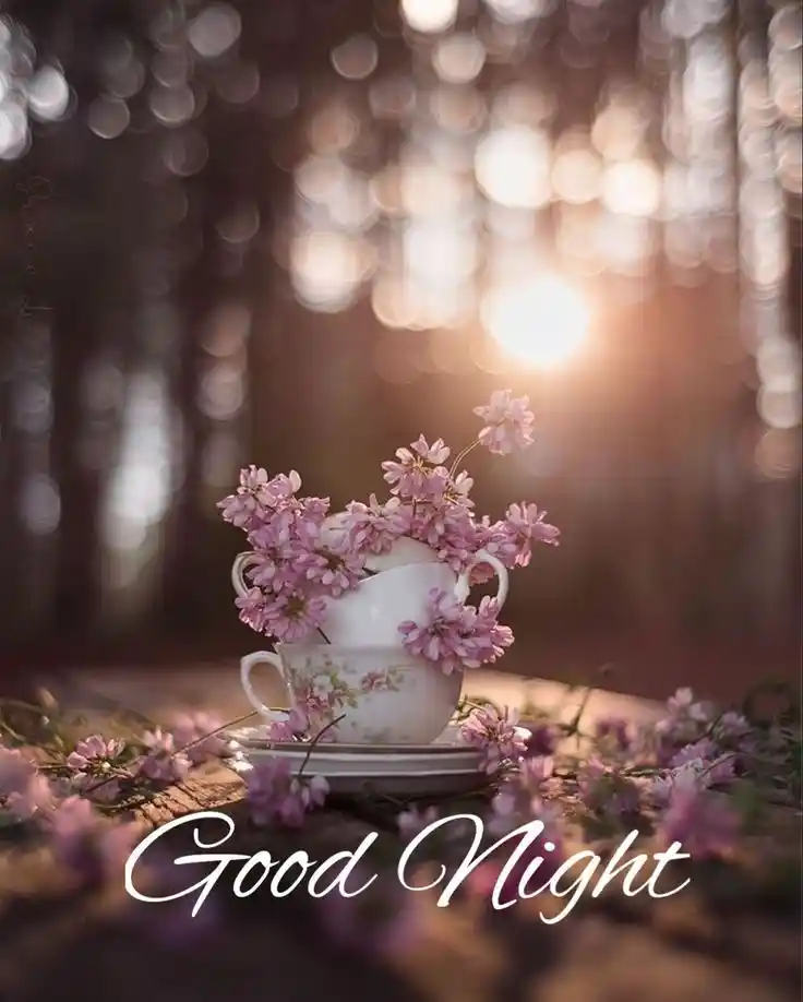 good night ka achcha photo