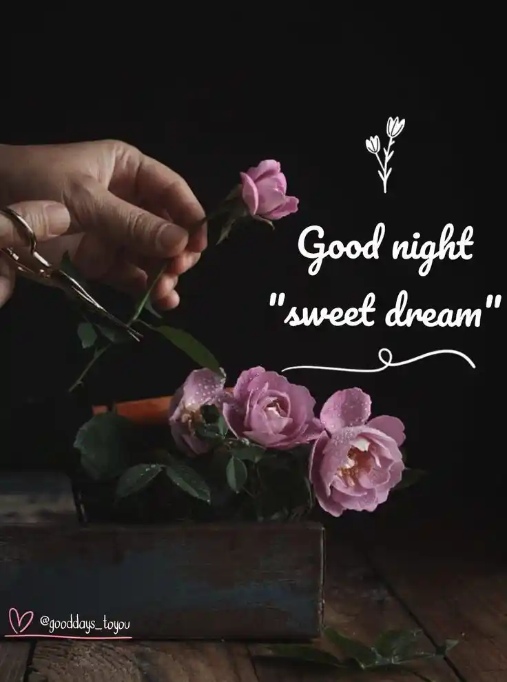 good night photo and shayari