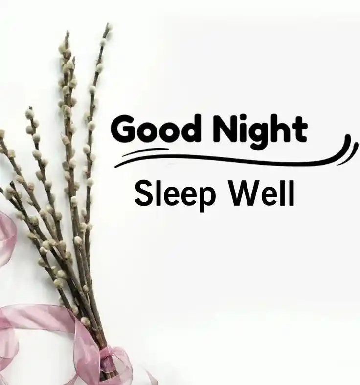 good night photo bengali