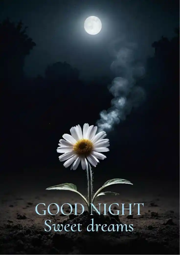 good night photo bhejiye