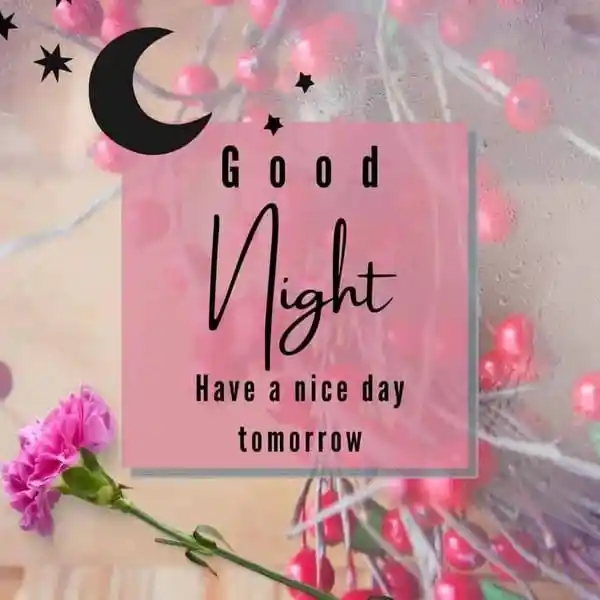 good night pic