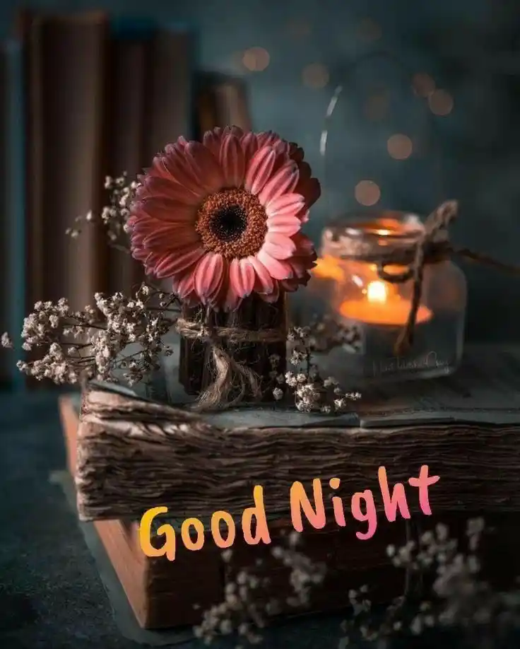 good night pics romantic