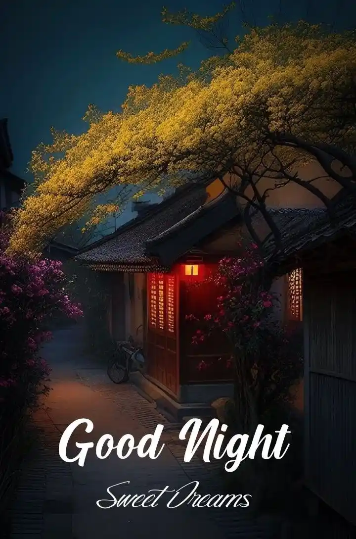 lovely good night images