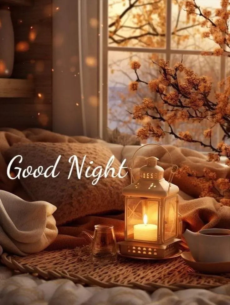 most-beautiful-good-night-photo