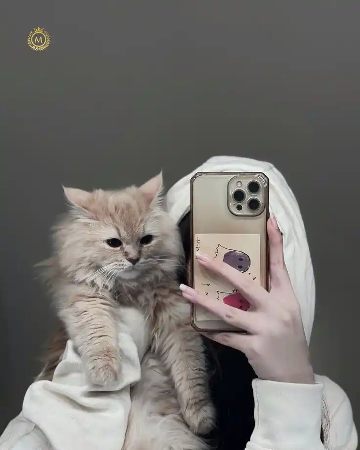 muslim girl dp cartoon for instagram