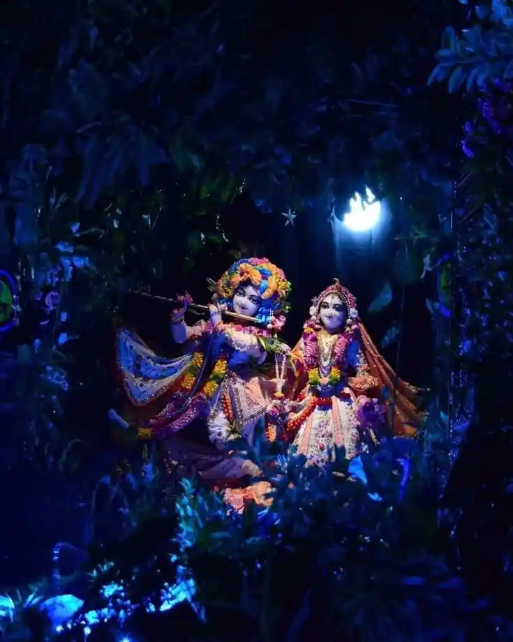 radha krishna aesthetic dp for whatsapp