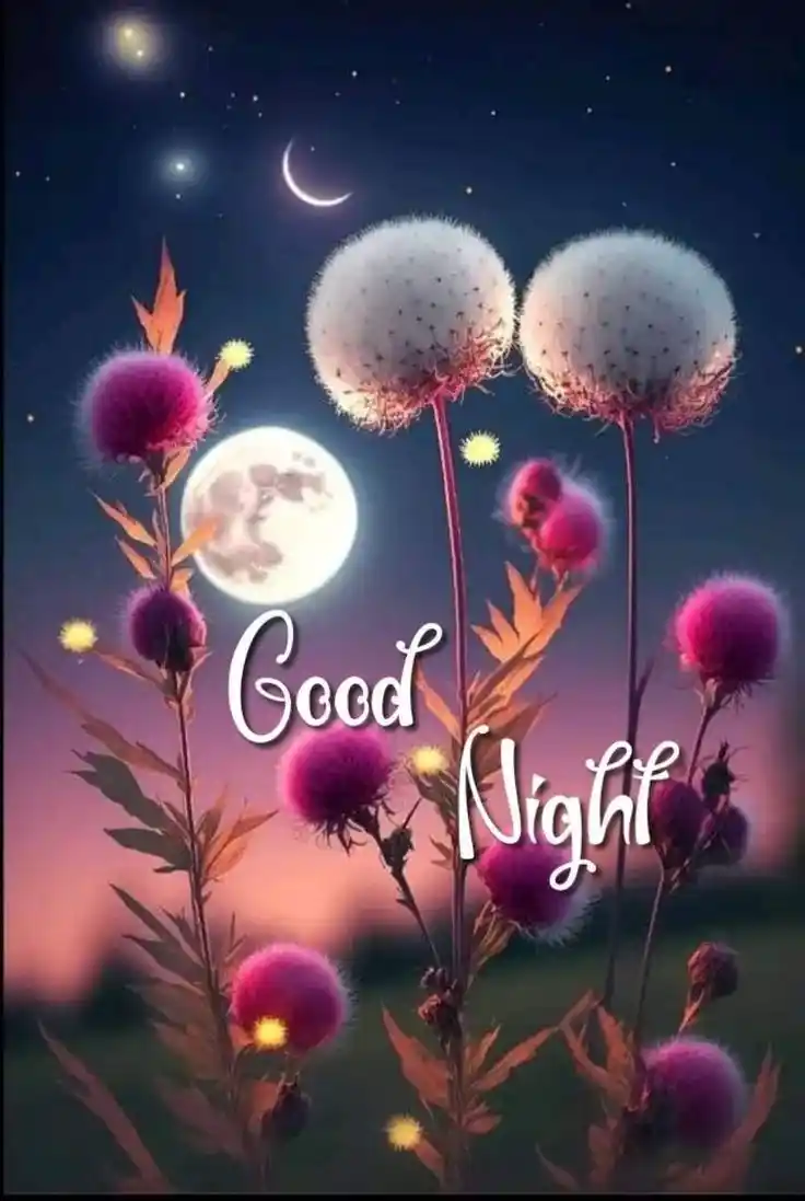 romantic good night photo