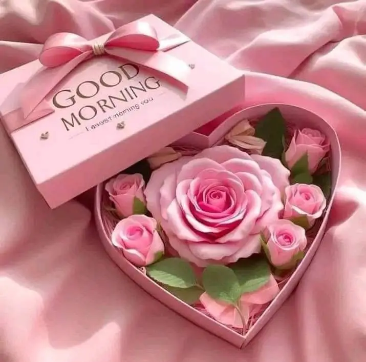 today-special-good-morning-images-bangla