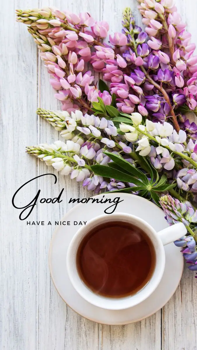 today-special-good-morning-images-hd